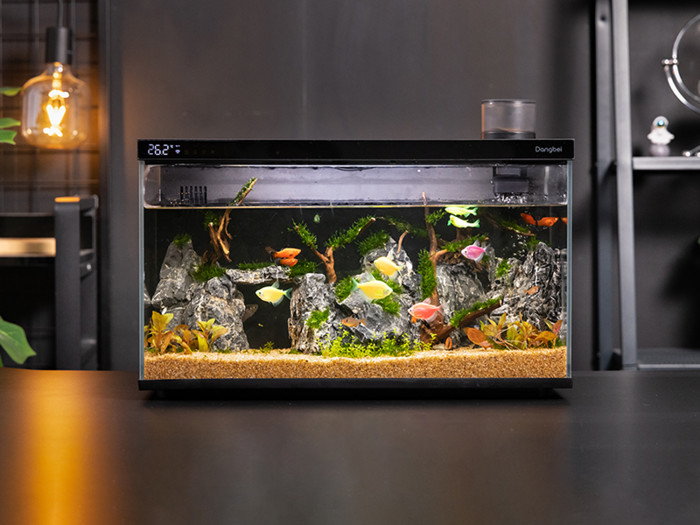 智能鱼缸